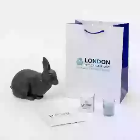 Rabbit on Book Urn